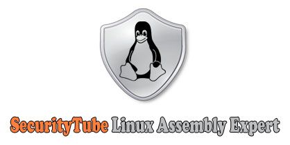 SecurityTube Linux Assembly Expert